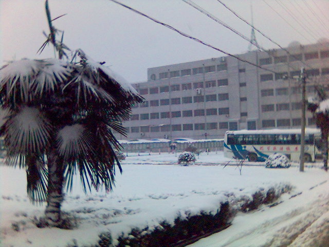 2006年的第一场雪