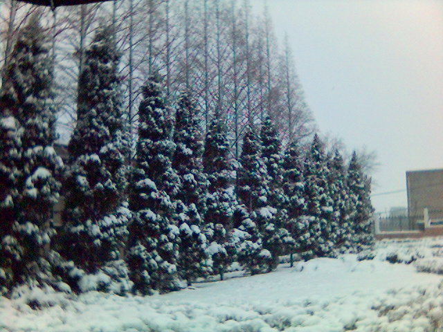 2006年的第一场雪